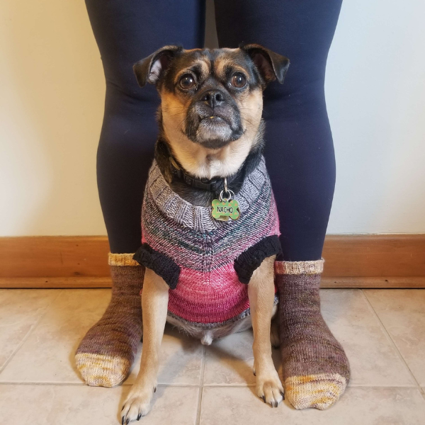Adore You – Free Socks and Dog Sweater Pattern | Craftopia Collective
