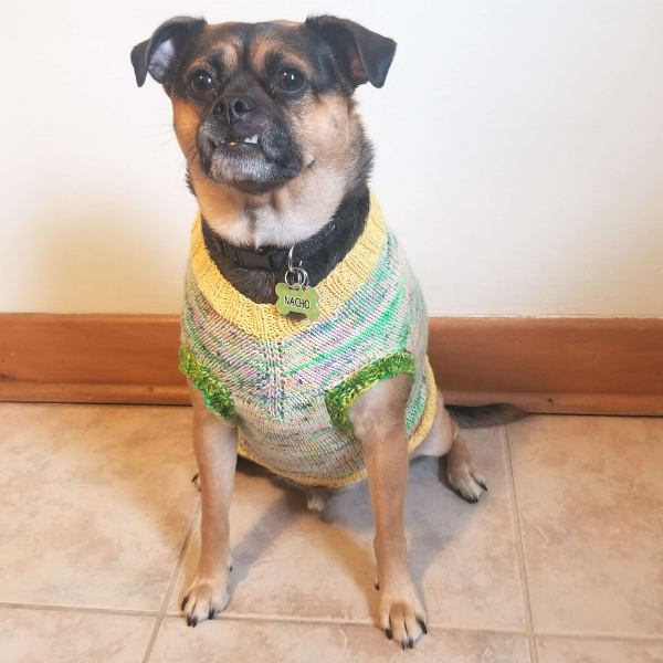 Adore You – Free Socks and Dog Sweater Pattern | Craftopia Collective